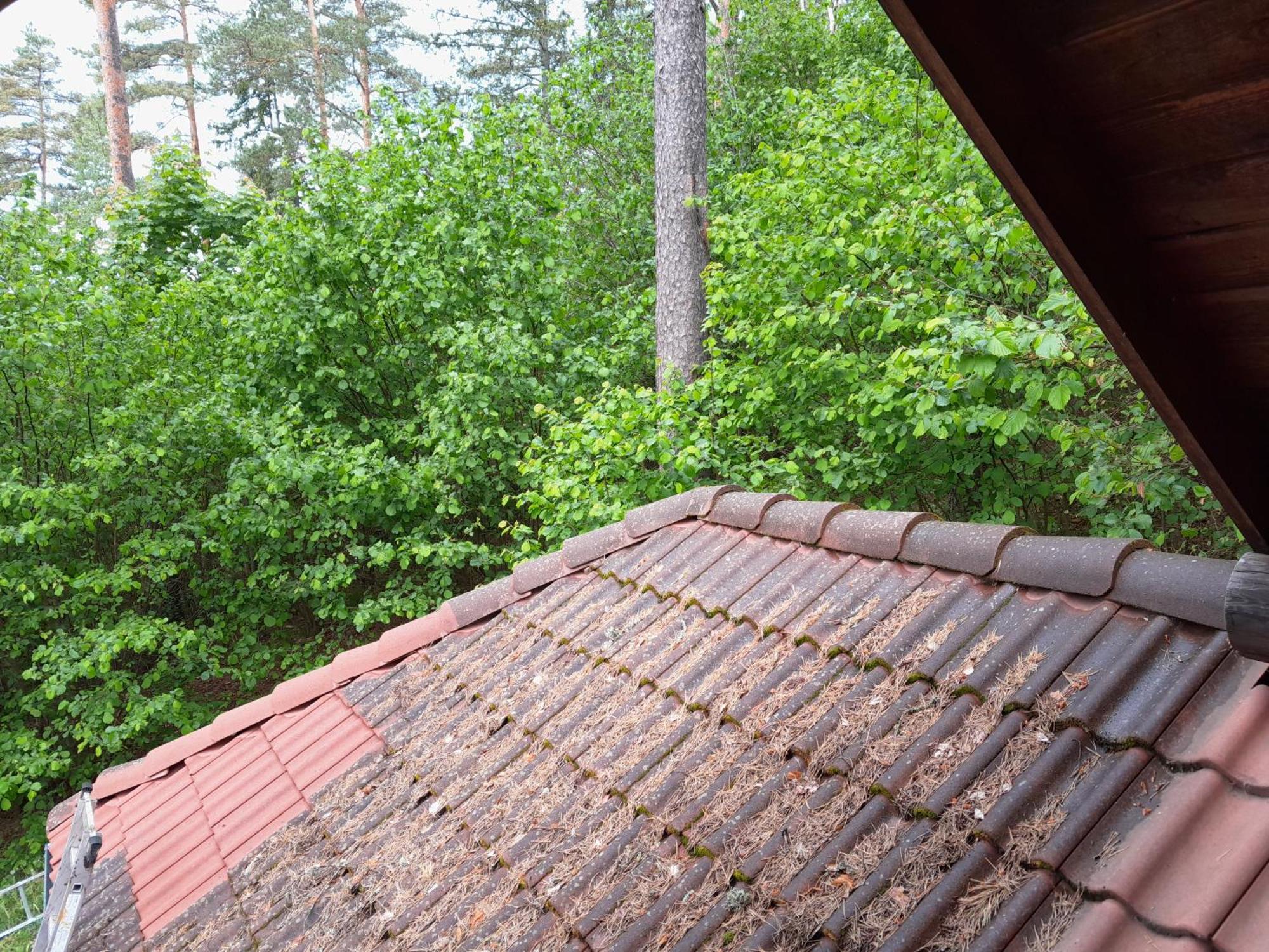 Käbi Holiday Homes Ainja Oda fotoğraf